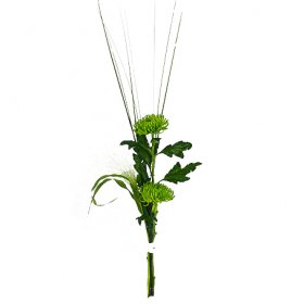 Green Anastasia - En enkel gåva - Skicka blommor med blombud - Flowerhouse