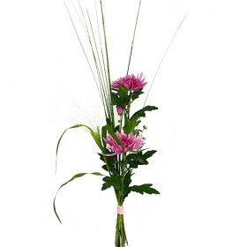 Purple Anastasia - En enkel gåva - Skicka blommor med blombud - Flowerhouse