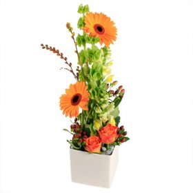 Lycka till - Blomsterdekorationer - Skicka blommor med blombud - Flowerhouse