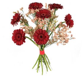 Tro och hopp - Buketter - Skicka blommor med blombud - Flowerhouse